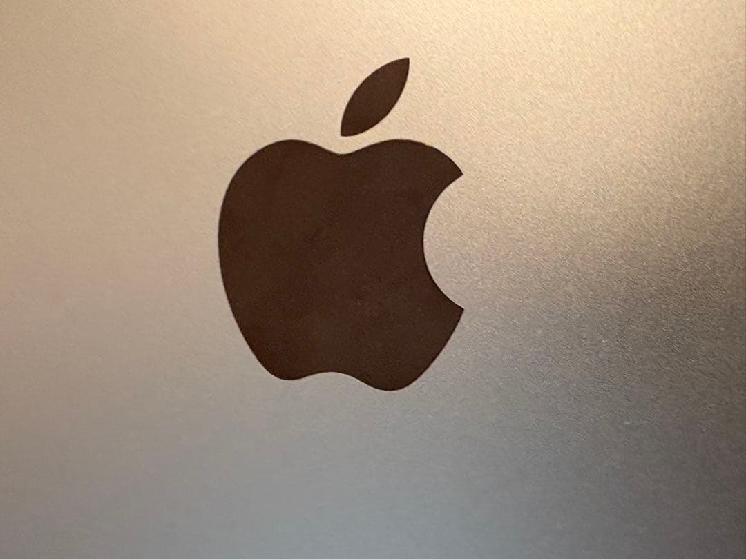 iPad mini256GB 本体【美品・ジャンク・箱あり、92%】