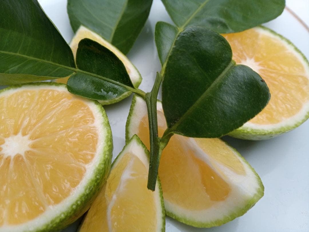 みぃ29さまご予約専用 大分県名産 フレッシュかぼす メガ盛 20kg 種なし