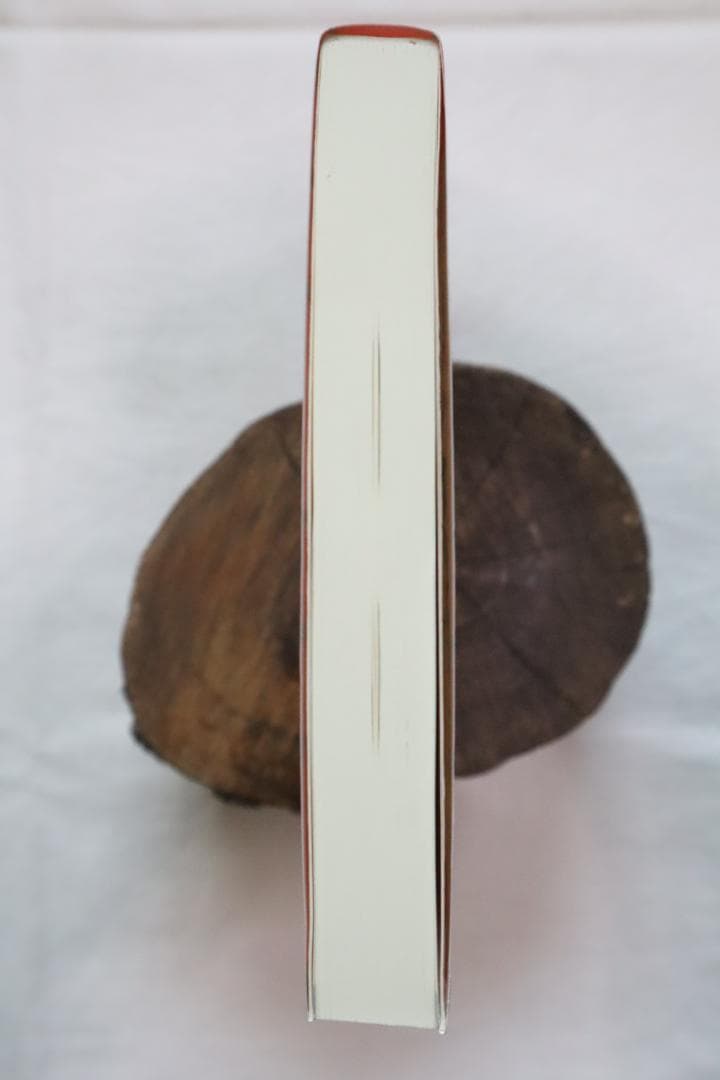 新訂 現代易入門 開運法 井田成明著