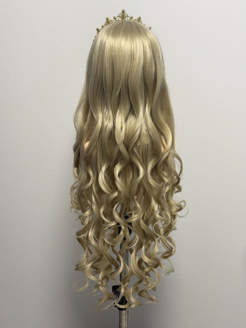 【専用出品】オーロラ　DG16