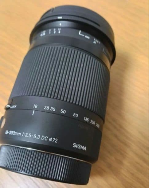 美品SIGMA 18-300mm F3.5-6.3 DC MACROEFマウント