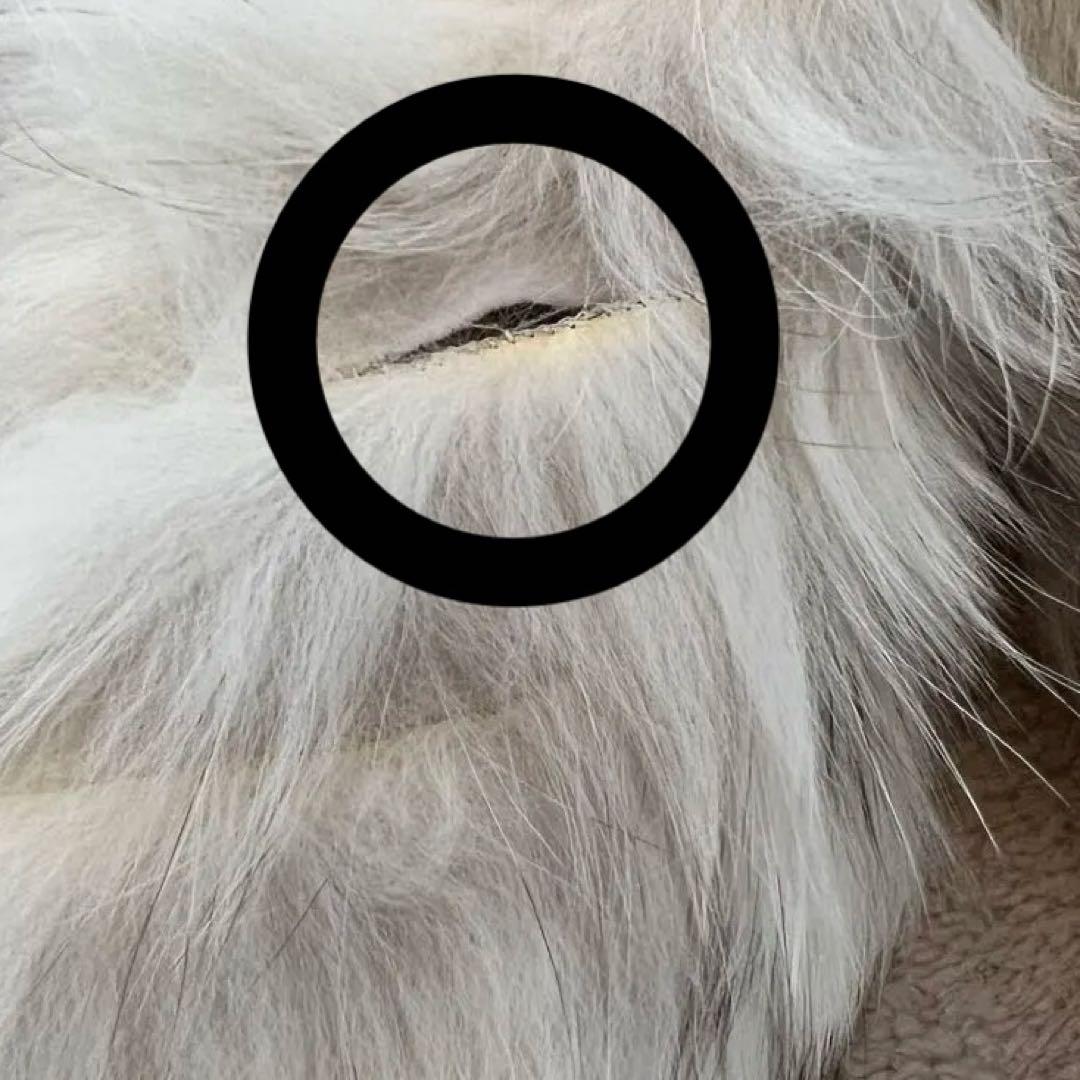 訳あり SAGA FOX 毛皮コート Lサイズ