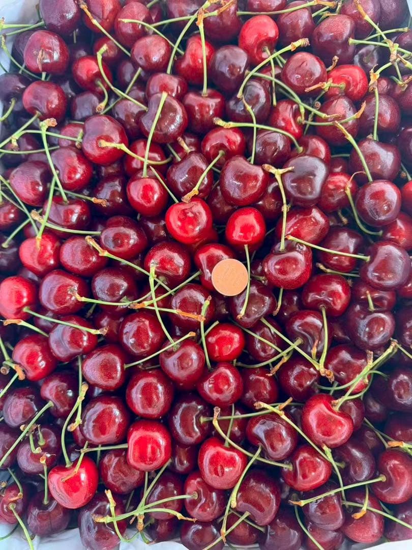 オーストラリア産チェリー5kg高級大号