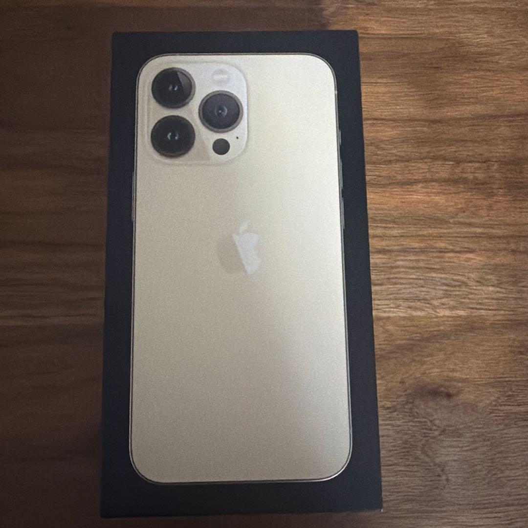 Apple iPhone 13 Pro ゴールド パンダ