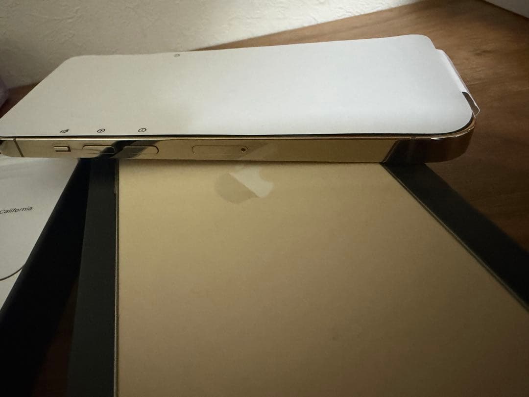 Apple iPhone 13 Pro ゴールド パンダ