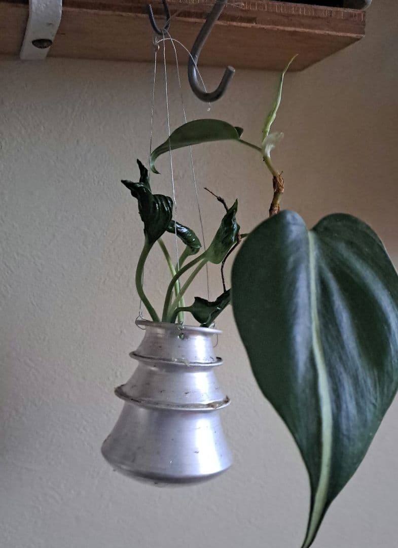 ジャーナルスタンダードファニチャー　植木鉢　イデー　プエブコ　ミッドセンチュリー