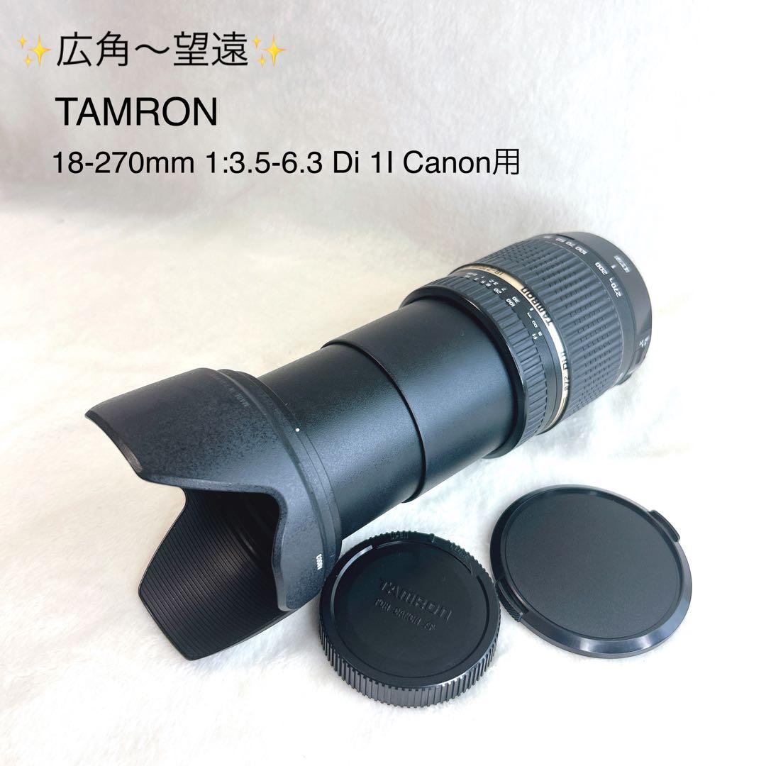 ✨広角〜望遠✨TAMRON 18-270mm 1:3.5-6.3 Di 1I
