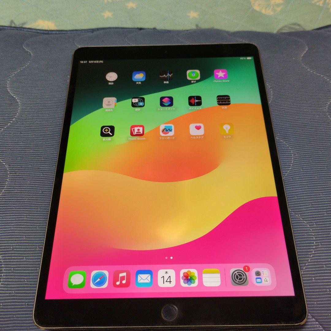 iPadpro 10.5インチ 256GB シルバー 本体のみ