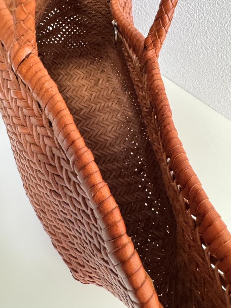 ドラゴン フュージョン Dragon Diffusion メッシュレザーバッグ