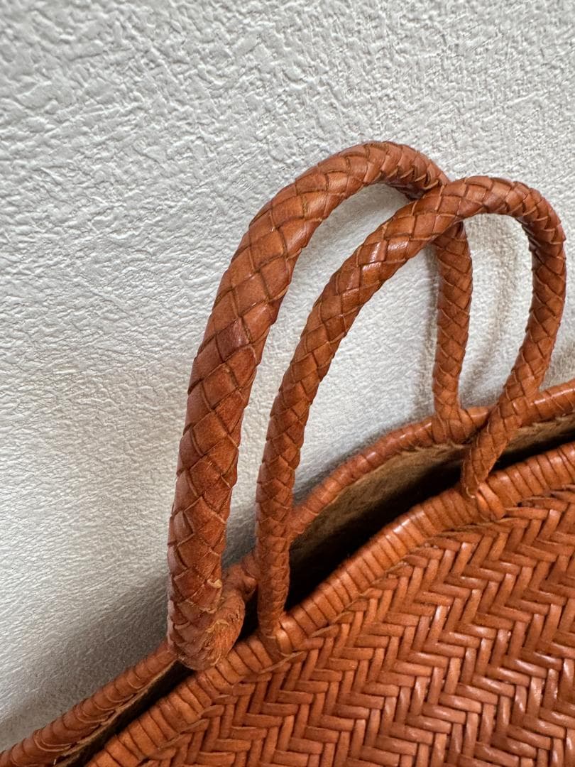 ドラゴン フュージョン Dragon Diffusion メッシュレザーバッグ