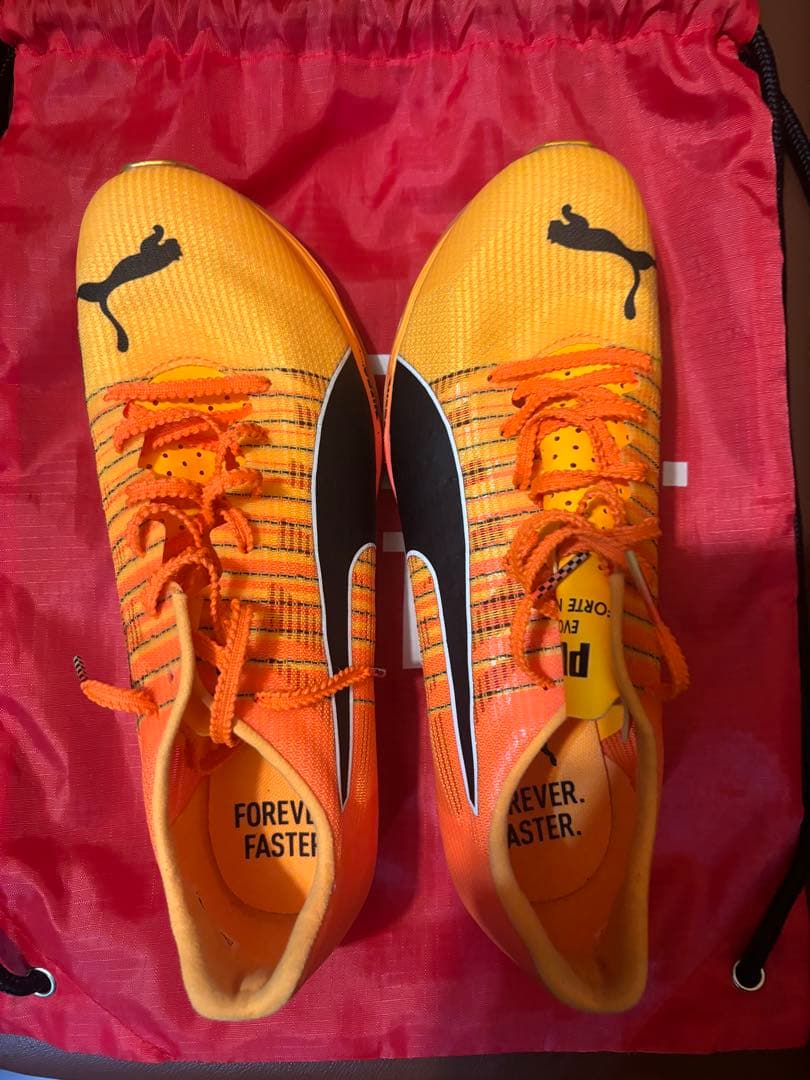 PUMA フォルテニトロエリート25.5