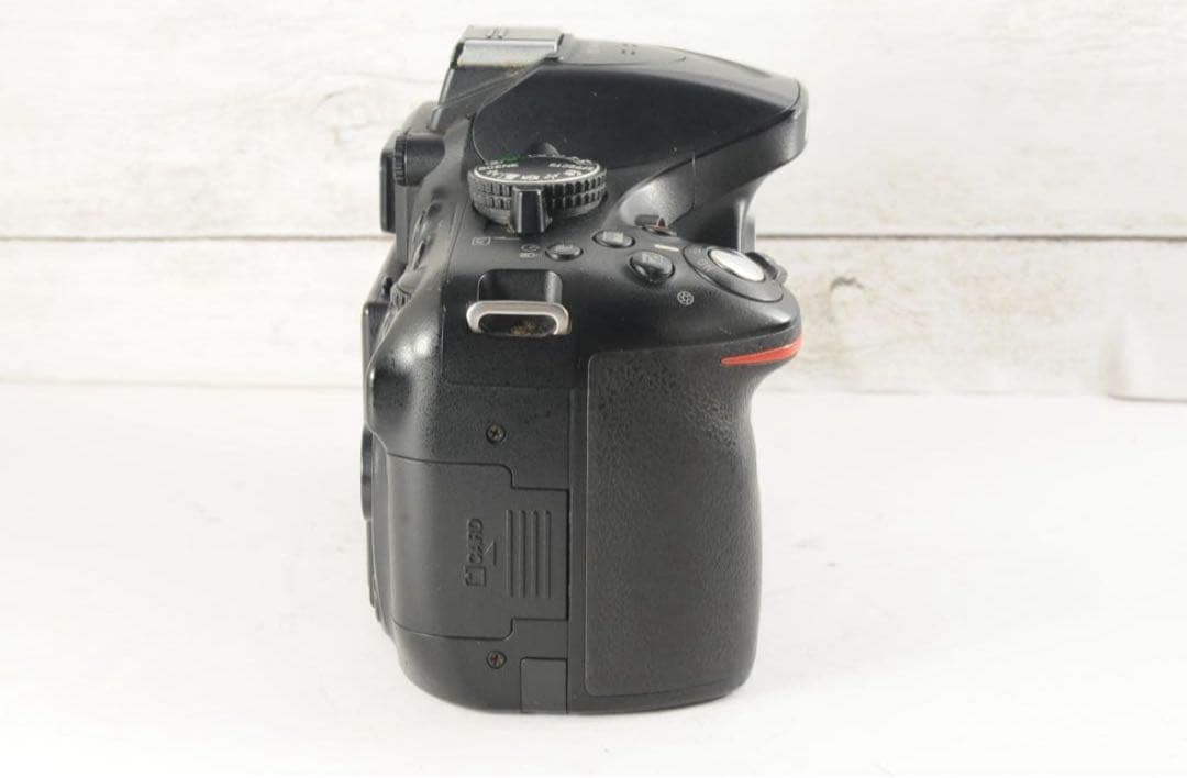 Nicon D5200 一眼レフ