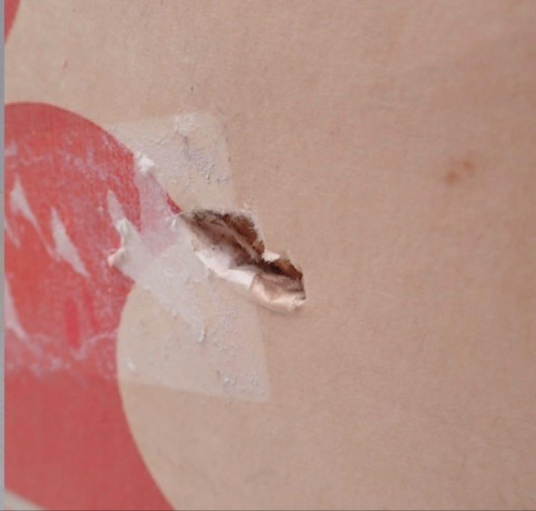 Apple Macintosh Plus 1Mb M0001A 箱付き