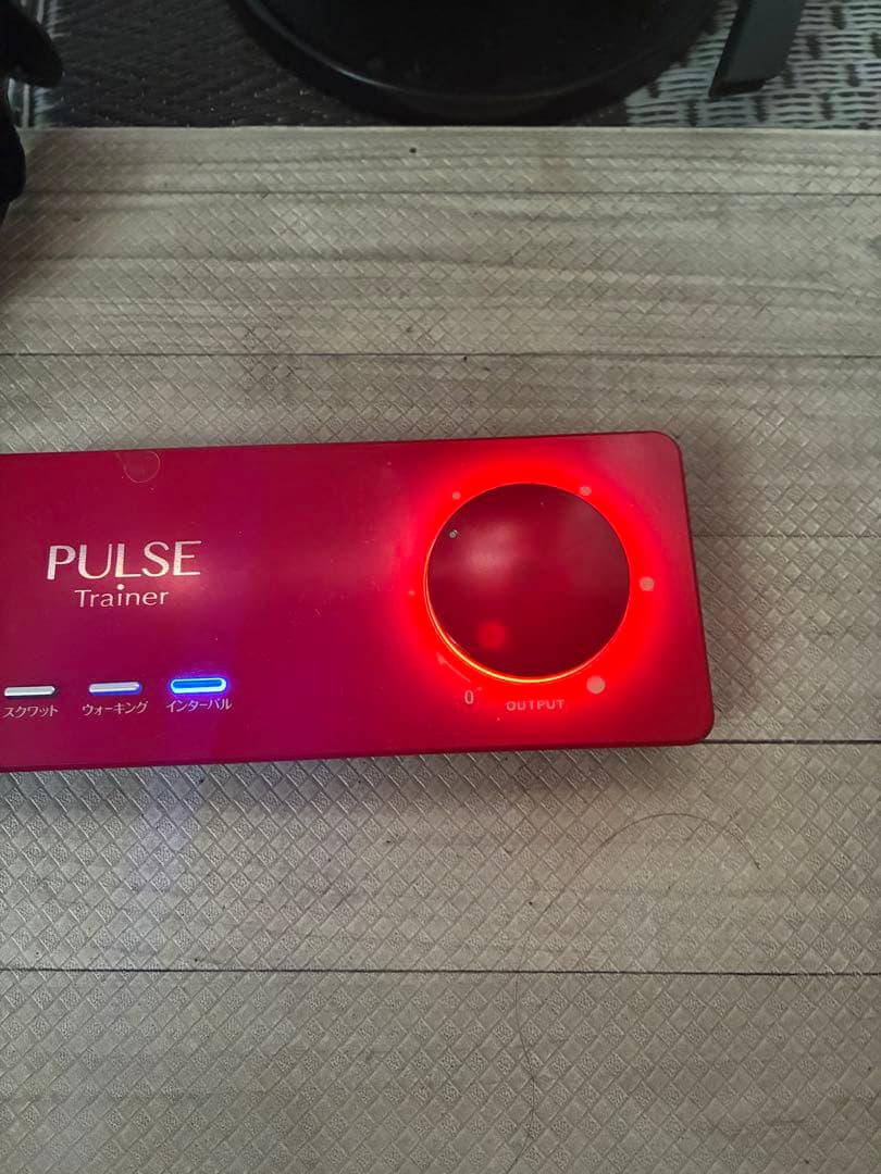 PULSE ⭐︎トレーナー