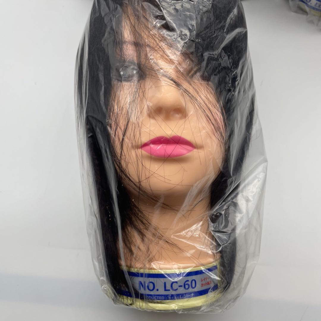 カットウィッグ　カットマネキン　国家試験　レジーナ　新品未使用