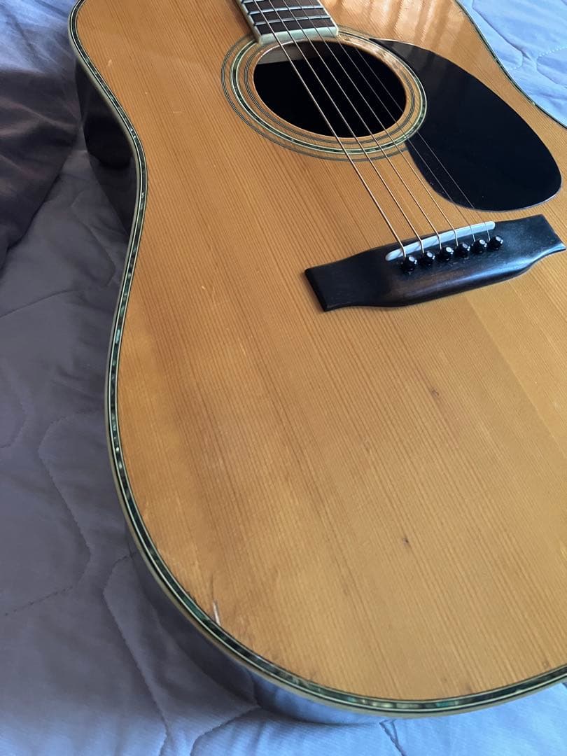 morris モーリス　W-40 アコースティックギター