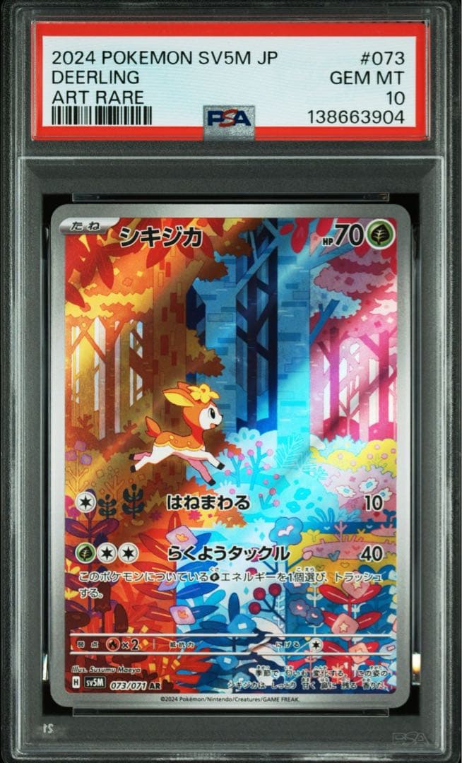 シキジカar&メブキジカar PSA10 (連番)