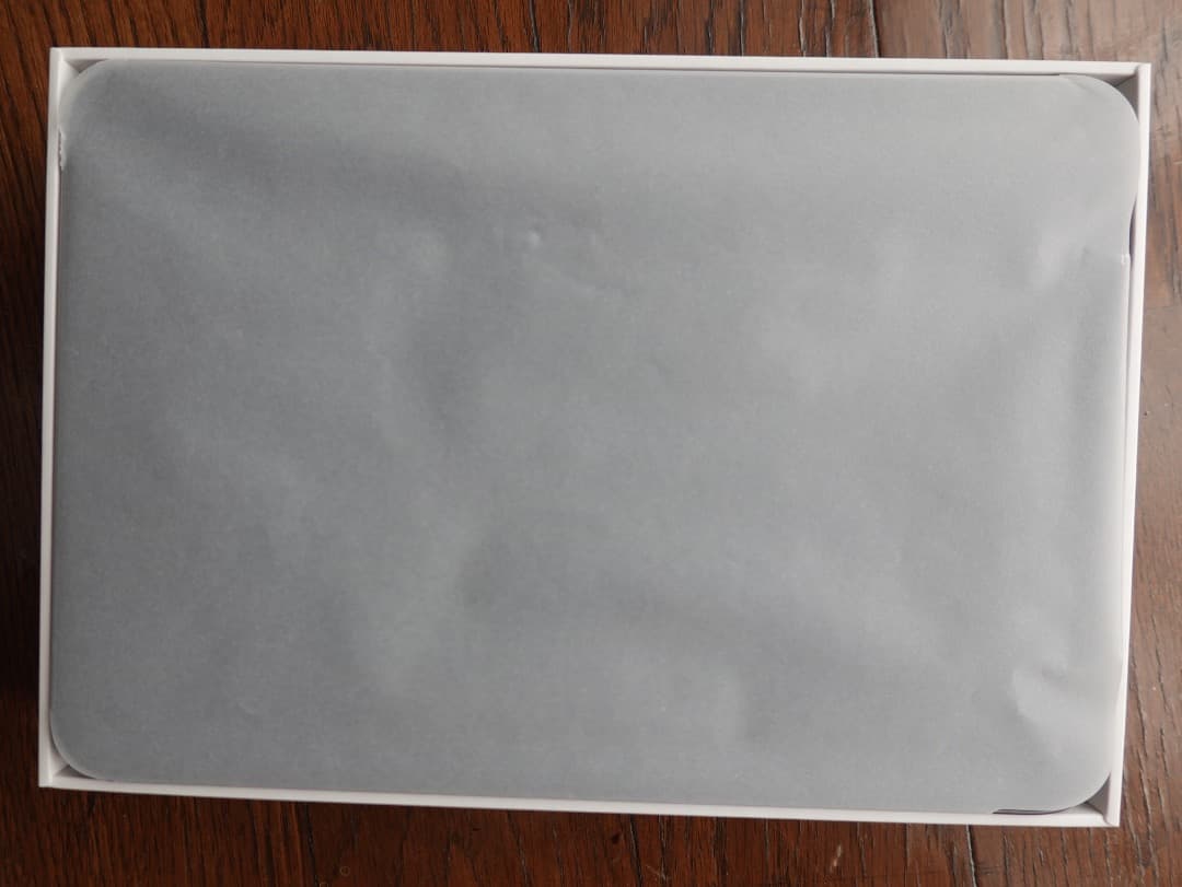 iPad mini スペースグレー 本体