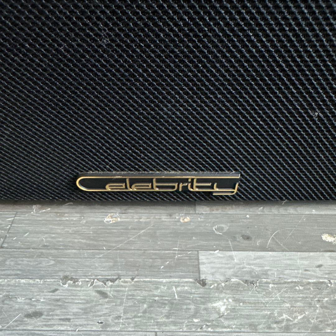 SONY ソニー celebrity セレブリティ D-3000