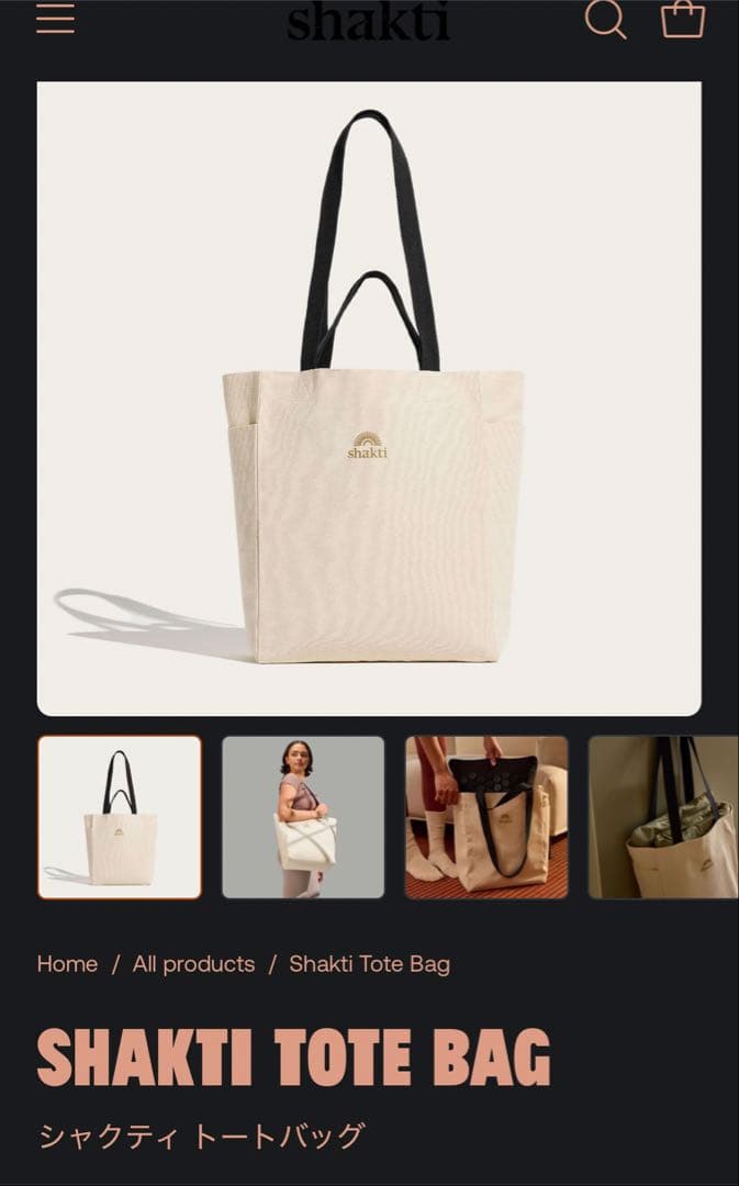 【値下げ不可】シャクティマット セット