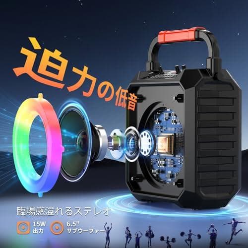 スピーカーセット JYX カラオケセット 家庭用 拡声器 ワイヤレスマイク ２p