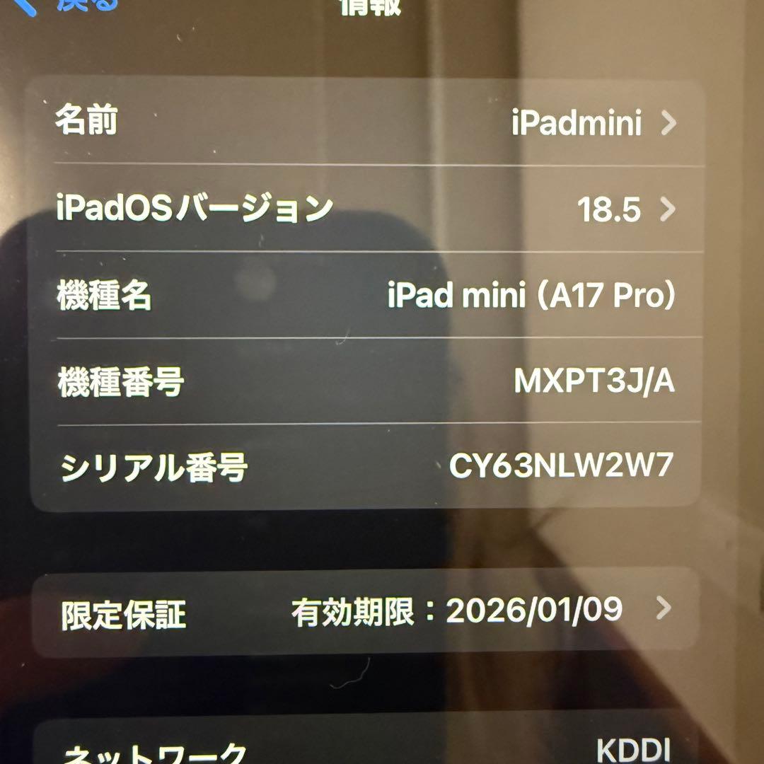 iPad mini 第7世代 セルラー 256GB バッテリ100% ケース付