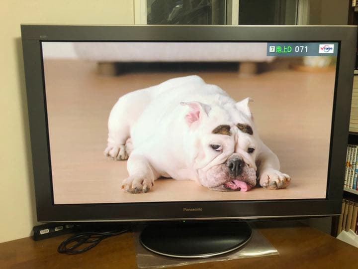 ハイビジョンプラズマテレビPanasonic VIERA V2 TH-P42V2