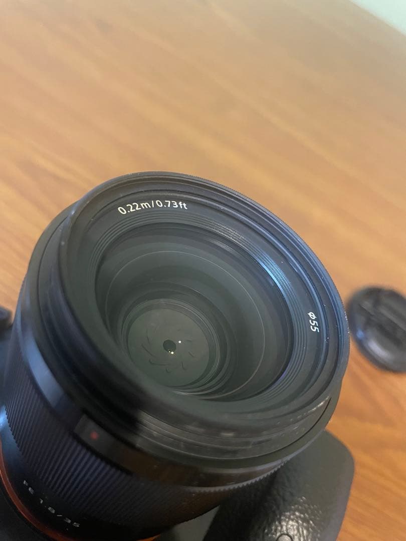 【ショット数5825】 SONY α7 III ミラーレス一眼カメラ