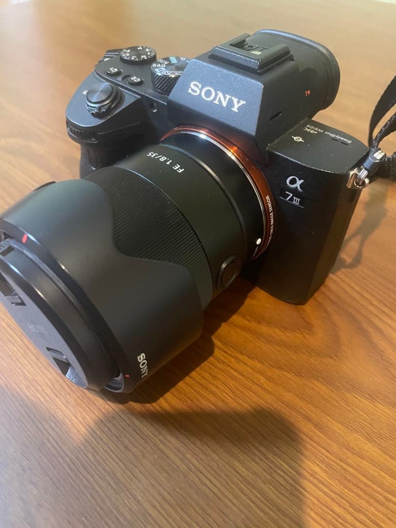 【ショット数5825】 SONY α7 III ミラーレス一眼カメラ
