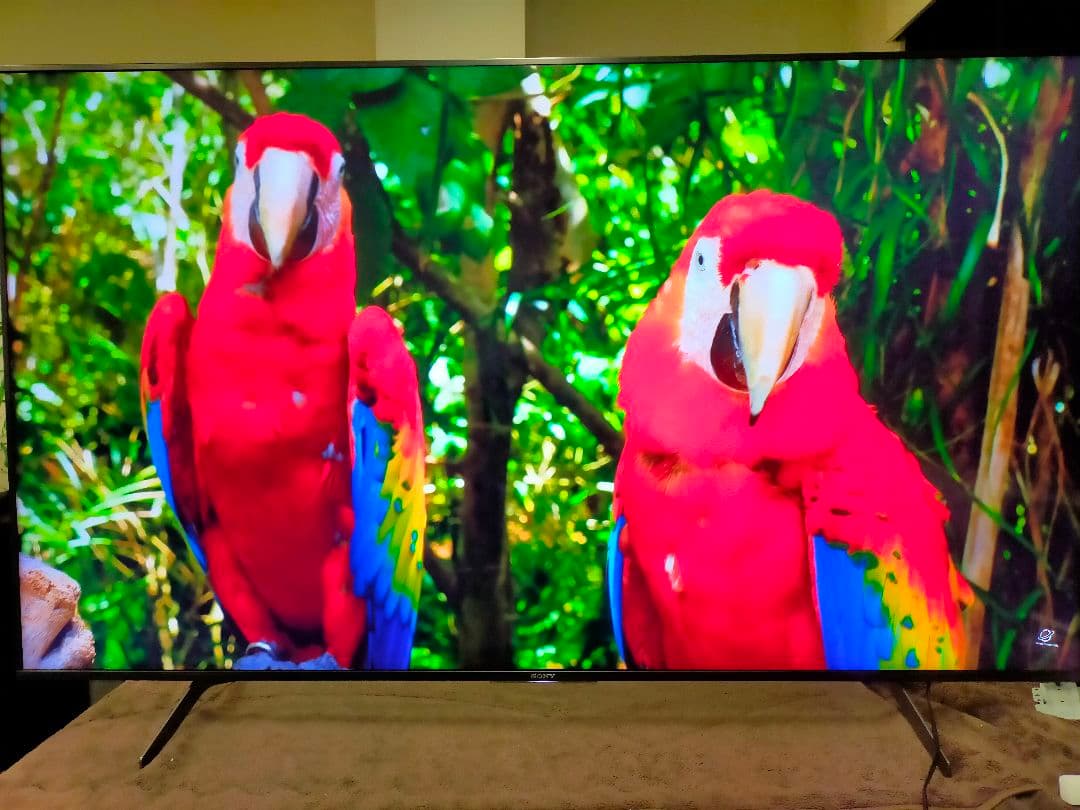 SONY BRAVIA KJ-65X8550H（2020年製）
