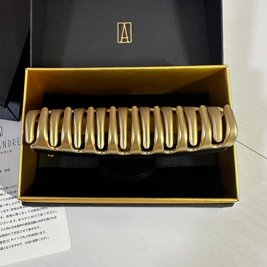 ALEXANDRE DE PARIS ヴァンドーム　L サイズ　ヘアクリップ