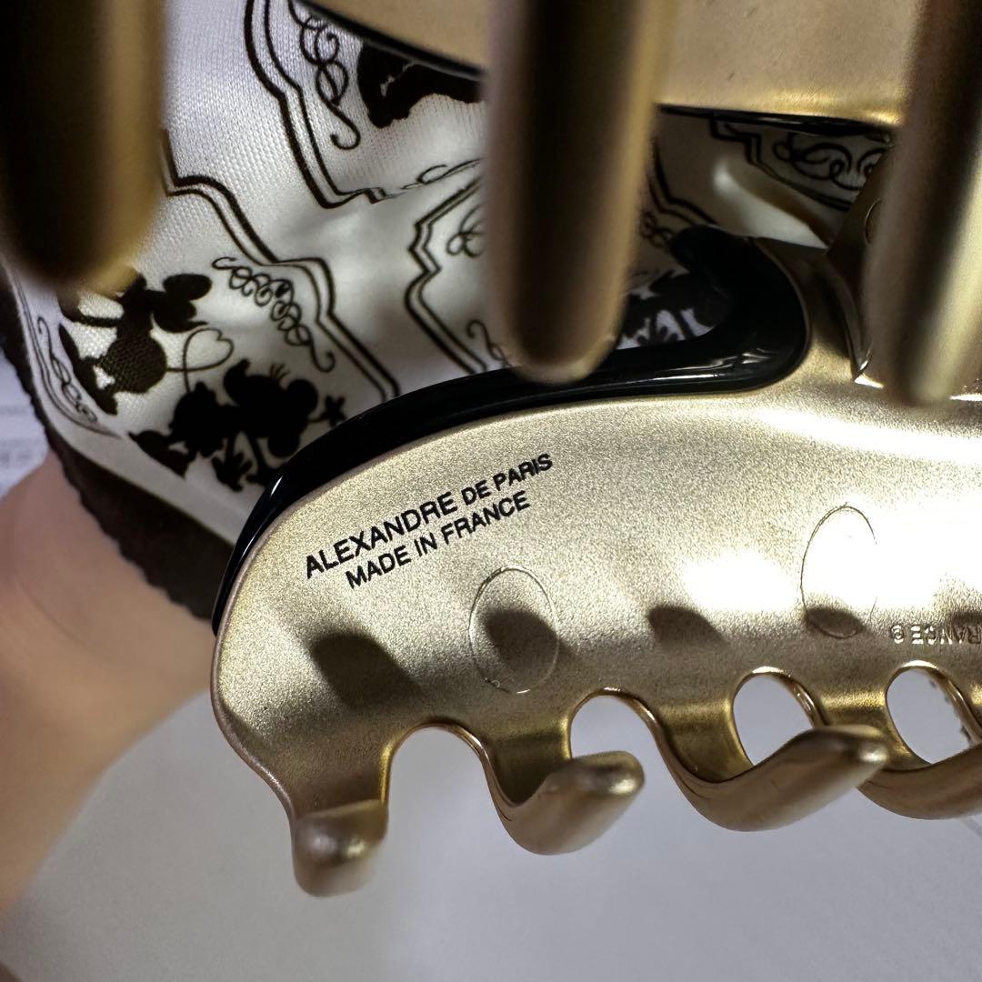 ALEXANDRE DE PARIS ヴァンドーム　L サイズ　ヘアクリップ
