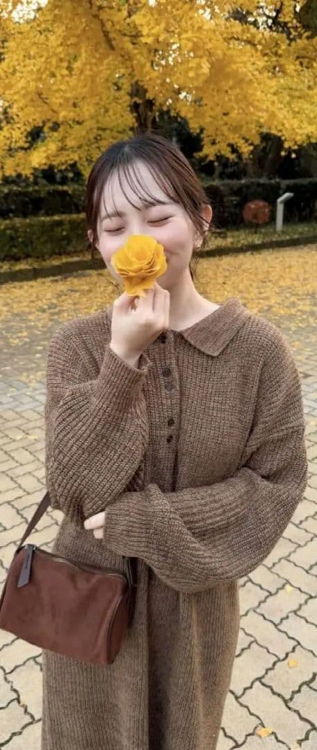 新品☆OLUN ニットポロワンピース ブラウン S オルン きりまる