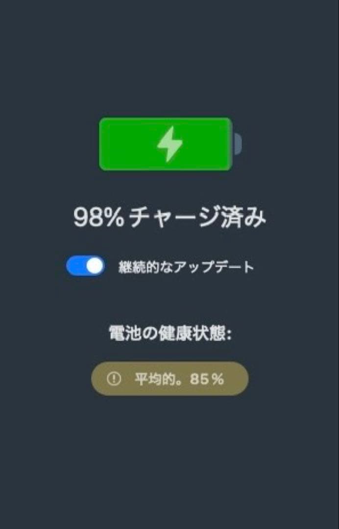 バッテリー85%　iPad Air 第4世代 Cellular 256GB