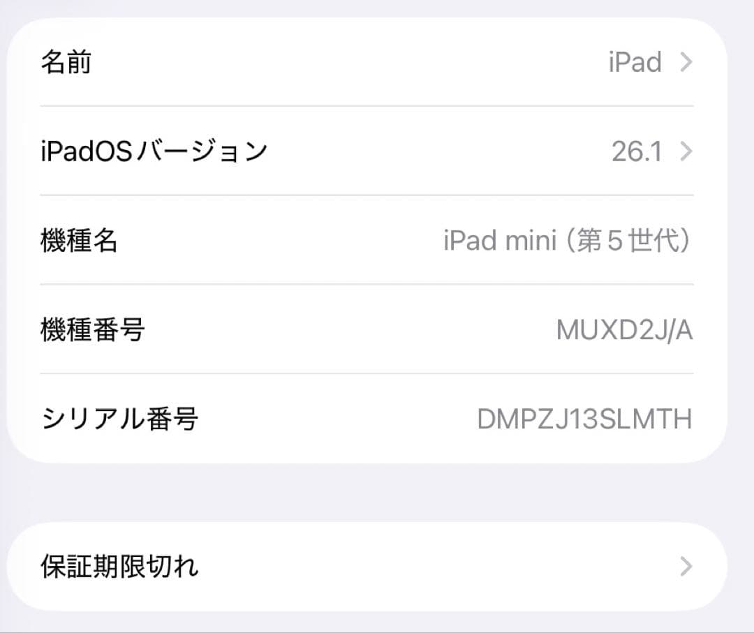 iPad minin 5 256gb simフリー au