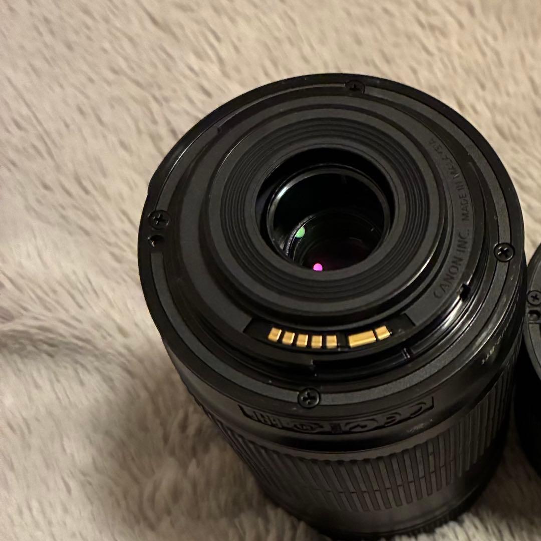 Canon EF-S 55-250mm ズームレンズ