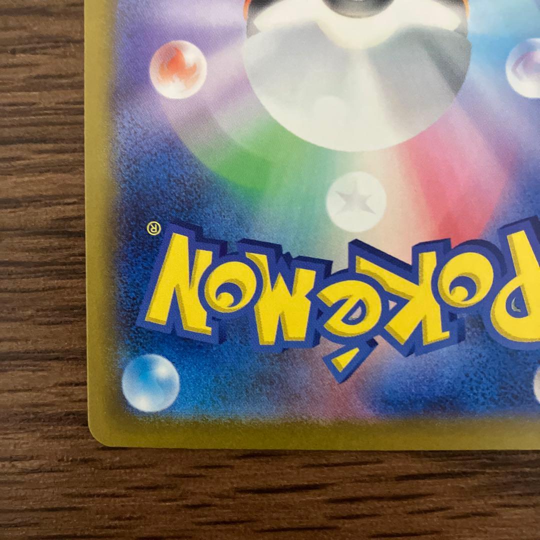 【美品・画像多数】カナリィSAR 1枚