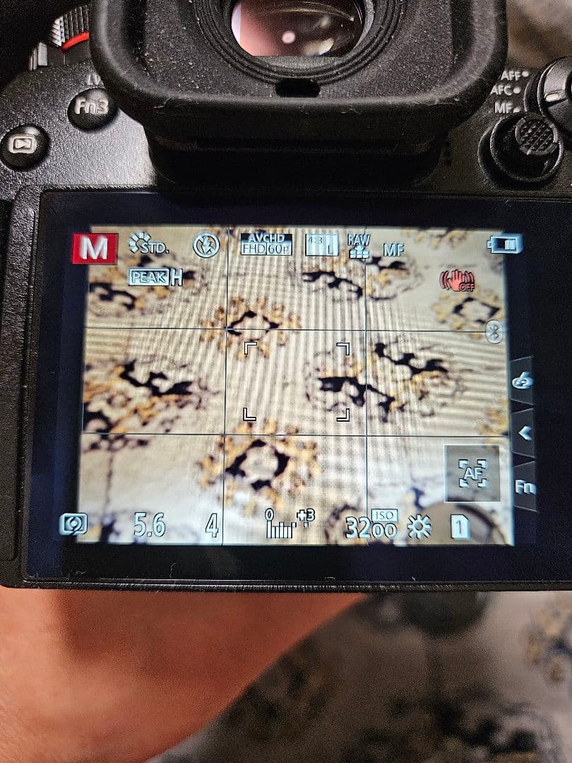 【最終値下げ】Panasonic LUMIX DC-G9L PRO おまけ付き