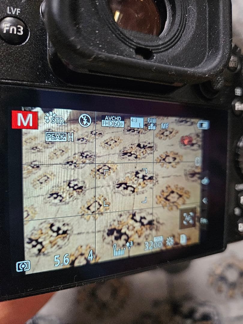 【最終値下げ】Panasonic LUMIX DC-G9L PRO おまけ付き