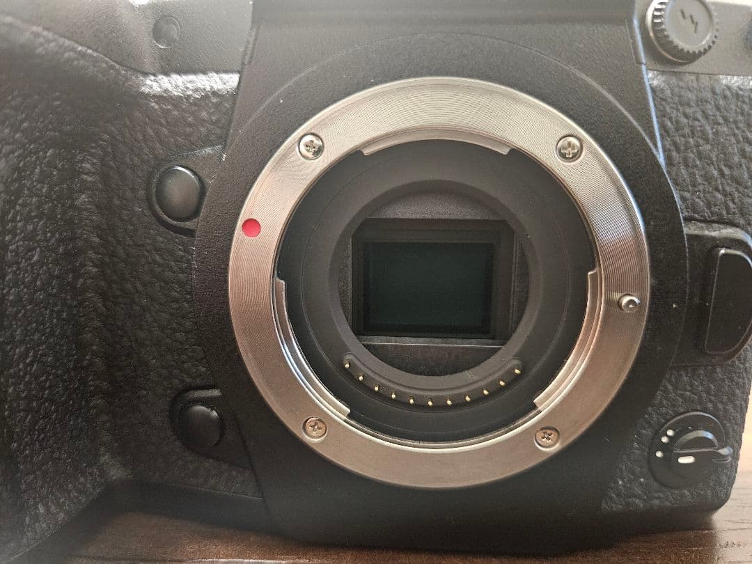 【最終値下げ】Panasonic LUMIX DC-G9L PRO おまけ付き