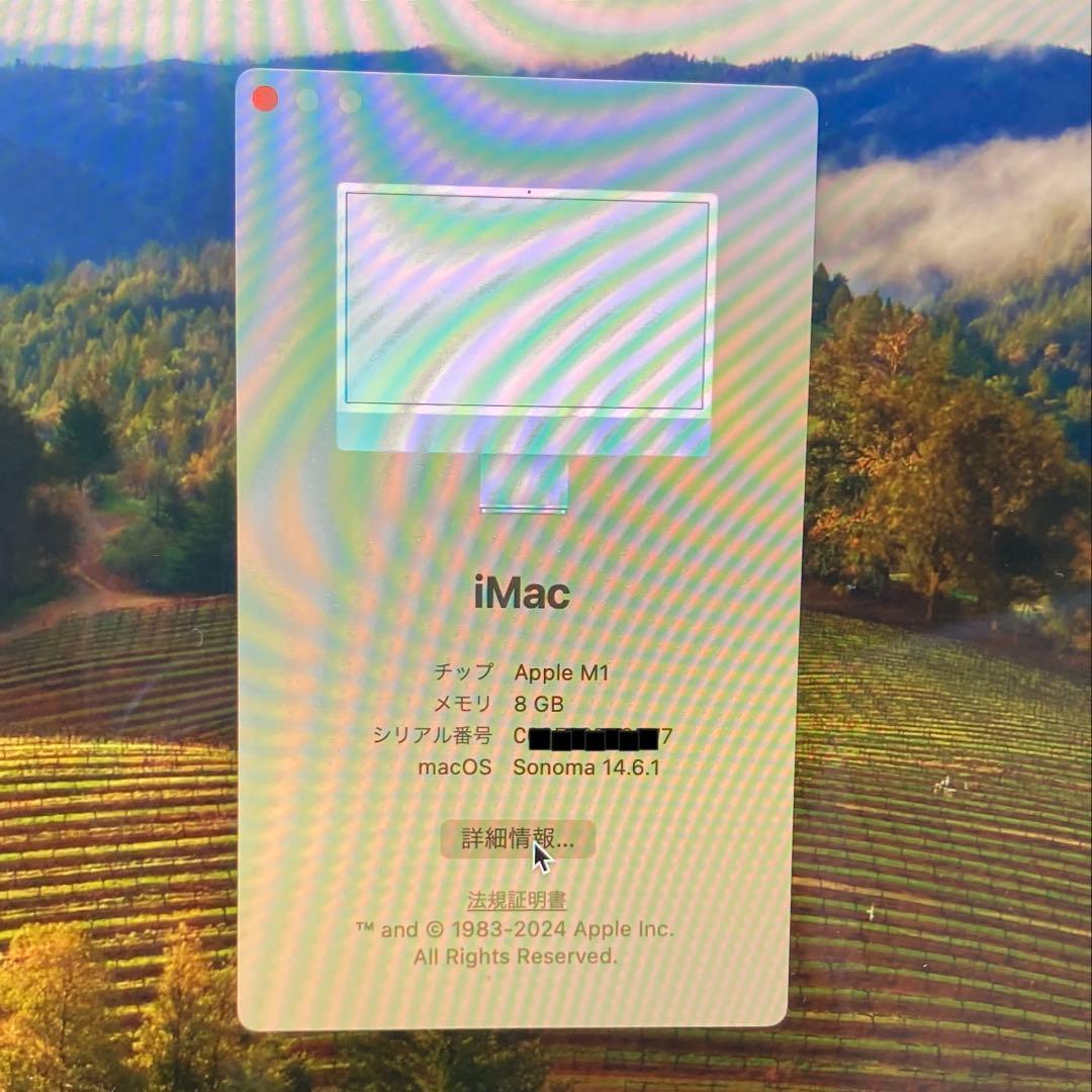 iMac 24インチ M1 8コアGPU 8GB 256GB A2438