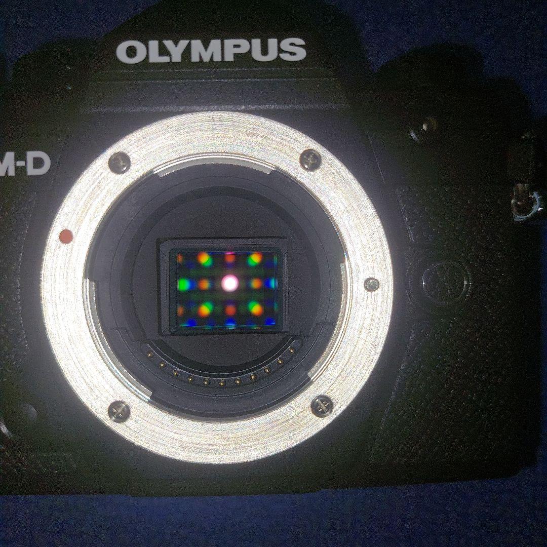 (ショット数2366枚 極上)オリンパス OM-D E-M5 Mark III