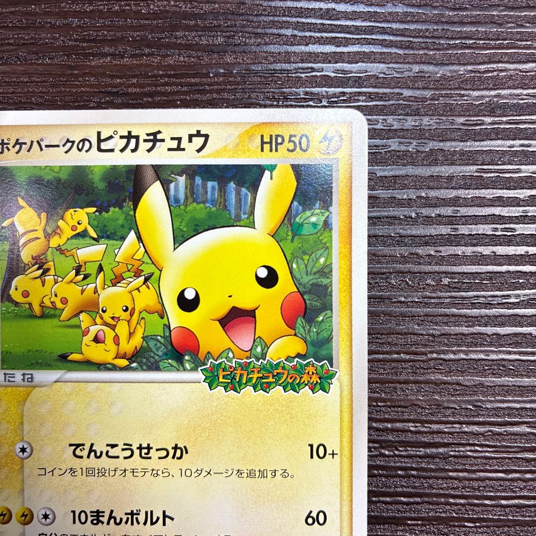 ポケパークのピカチュウ