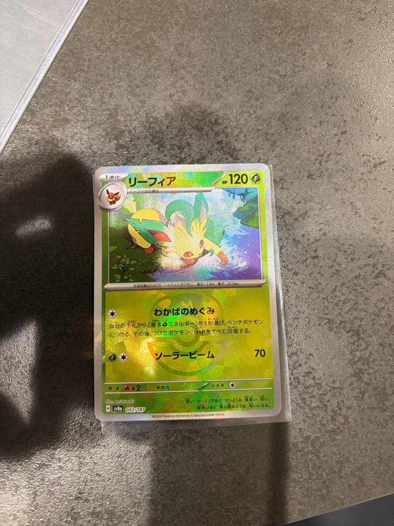 ポケモンカード　ブラッキー　リーフィア　マスターボールミラー