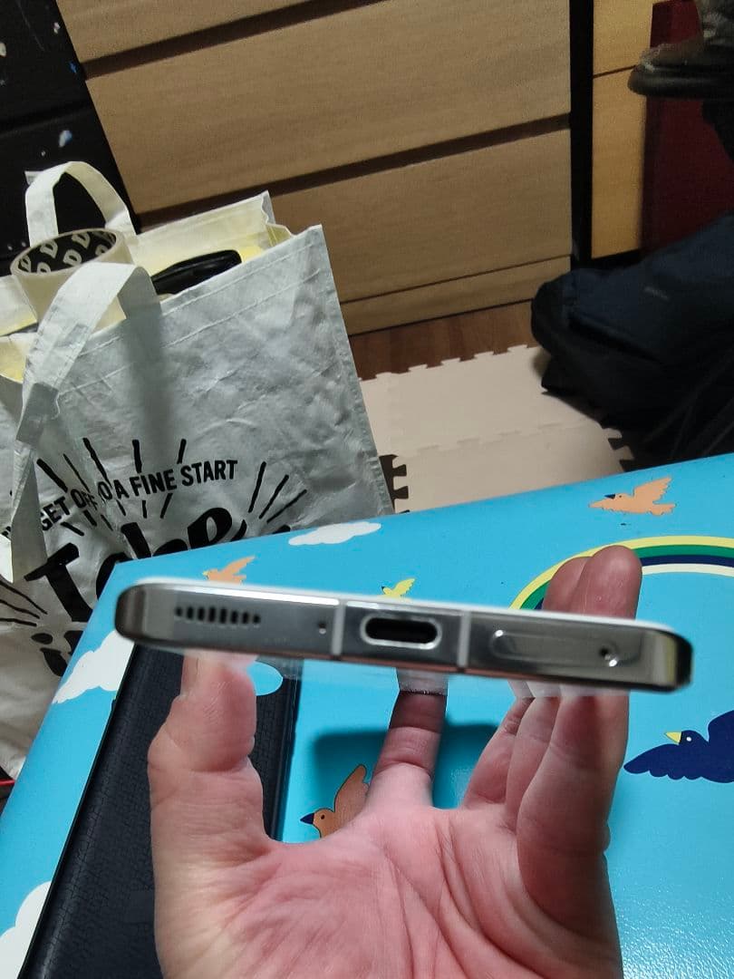 Xiaomi 13 Pro 12GB/256GB中国版