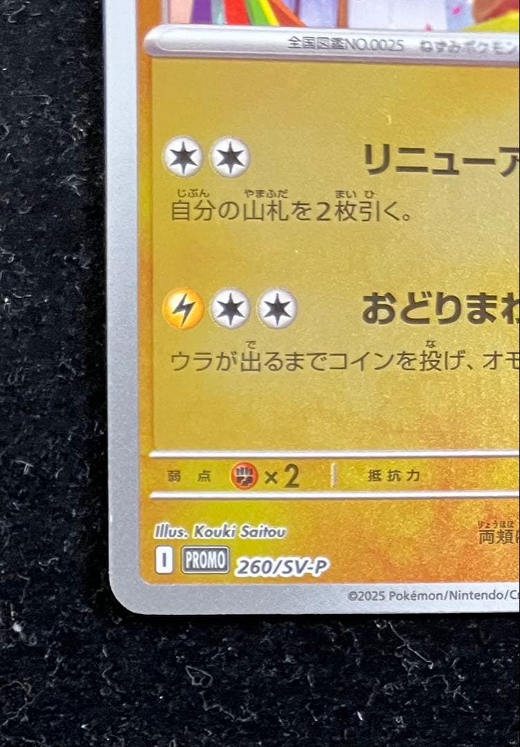 トウホクのピカチュウ ②