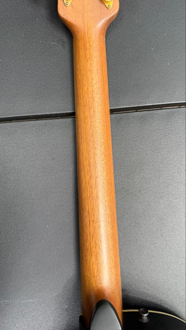 オベーションCelebrity Deluxe CS257（エレアコ）