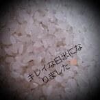 令和7年産棚田で育った特Aさがびより10キロ