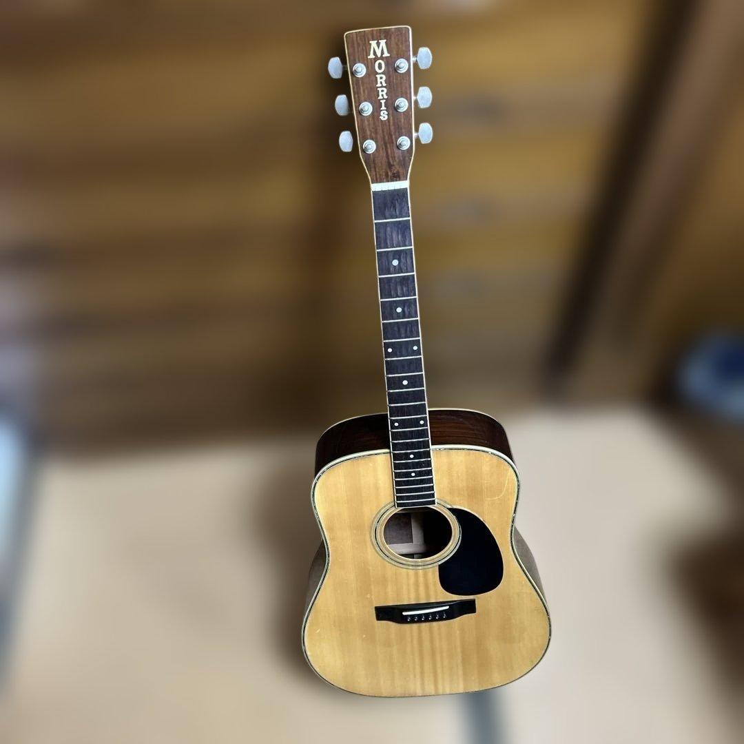 MORRIS アコースティックギター ドレッドノート