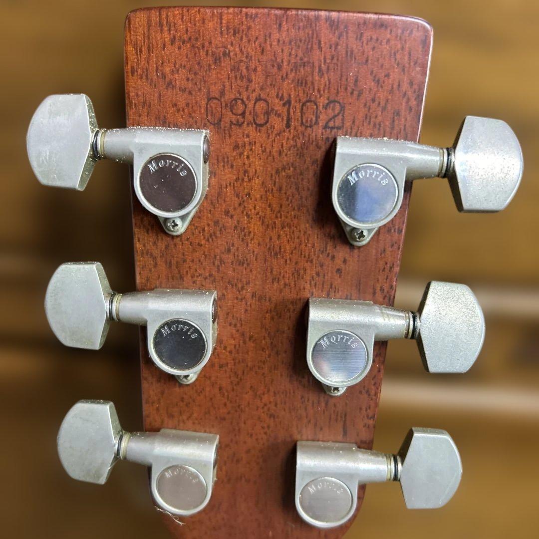 MORRIS アコースティックギター ドレッドノート